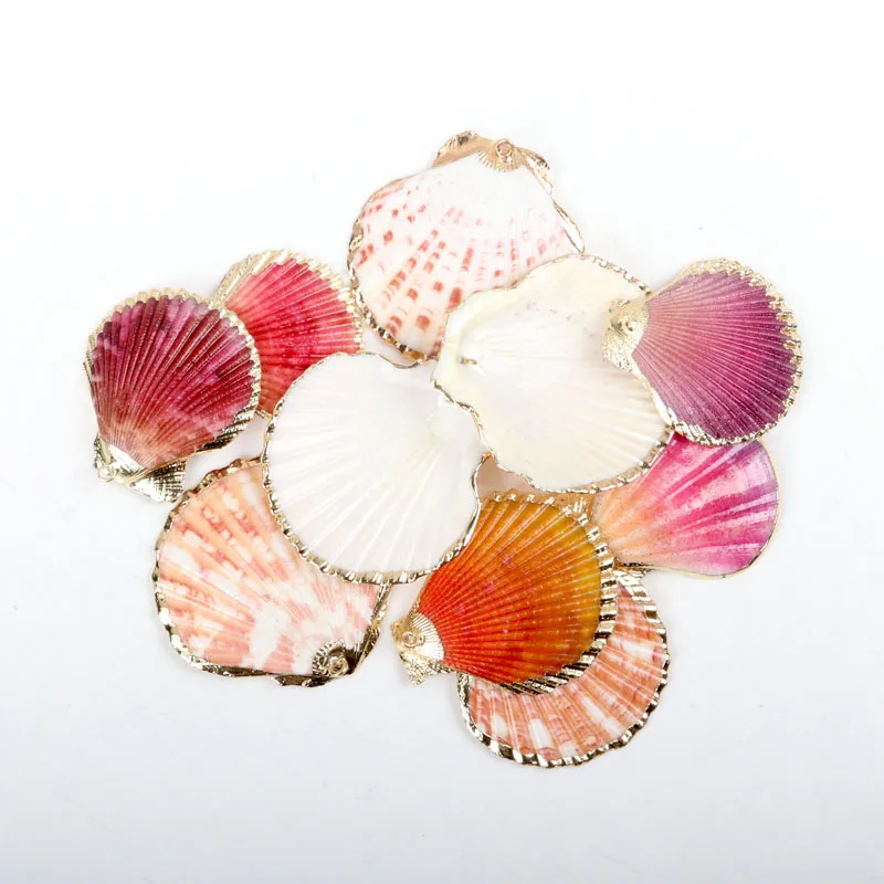 

Gold plating Aquarium Beach Nautical DIY conch Colorful Natural Seashells Decorations Scallop conch Crafts Decor Ornament 5Pcs