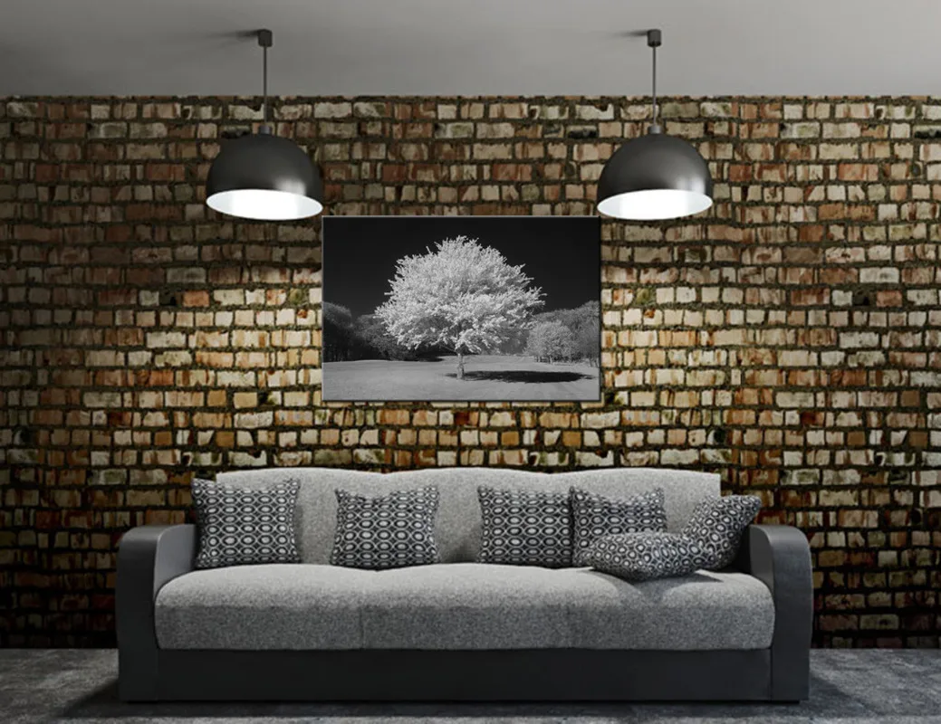Black and White Tree Forest Canvas Prints HD Picture Canvas Wall Mural Home Decor for Living Room Contemporary Decor Painting
Black and White Tree Forest Canvas Prints HD Picture Canvas Wall Mural Home Decor for Living Room Contemporary Decor Painting