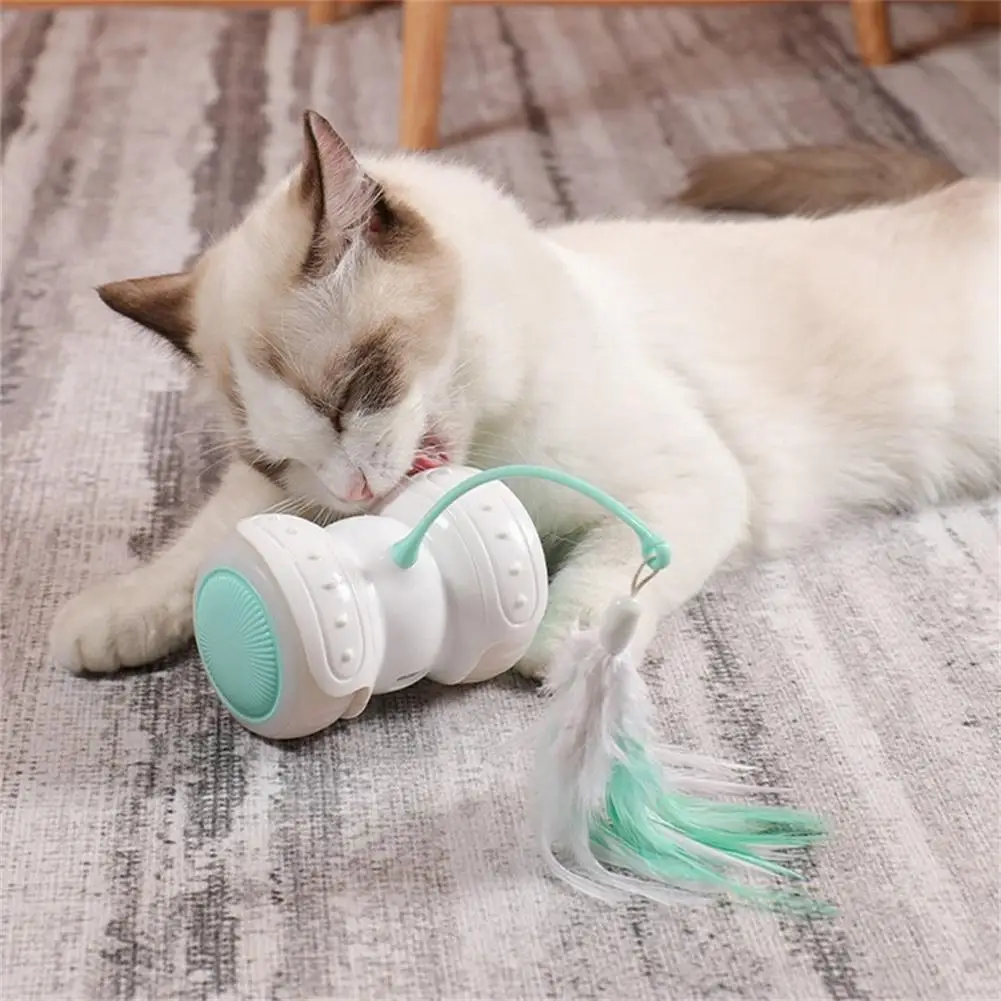 Pet Electric Smart Balance Led Luminous Remote Control Car Funny Cat Toy with Feather
Pet Electric Smart Balance Led Luminous Remote Control Car Funny Cat Toy with Feather