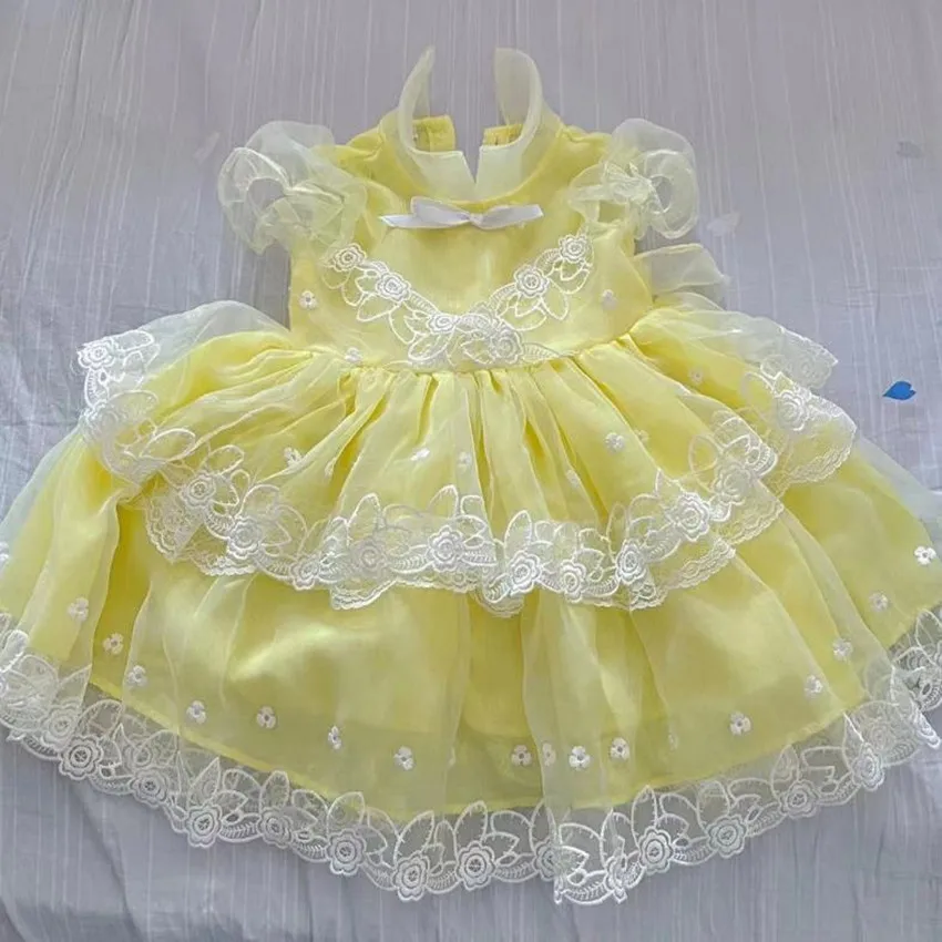 Baby girl summer vintage Spanish lolita princess dress kids lace mesh stitching birthday party ball goen dress
Baby girl summer vintage Spanish lolita princess dress kids lace mesh stitching birthday party ball goen dress