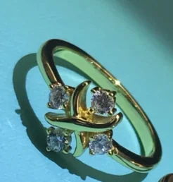 YTF1377 925 Sterling Silver Ring women's imitation ring zircon women's ring
YTF1377 925 Sterling Silver Ring women's imitation ring zircon women's ring