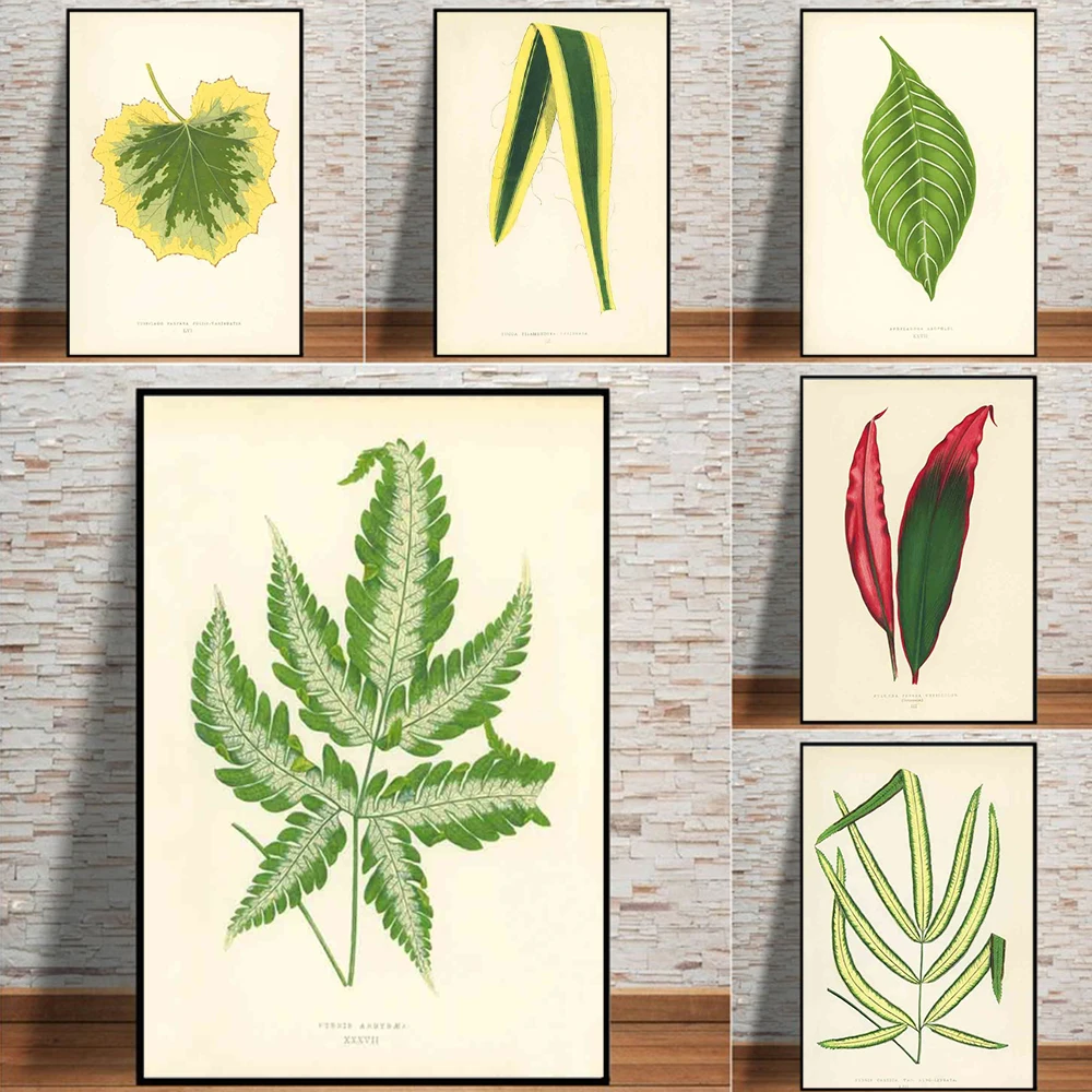 Modern Abstract Retro Art Plant Specimen Canvas Painting Green Leaf Print Poster Office Living Room Bedroom Home Decor Mural 
Modern Abstract Retro Art Plant Specimen Canvas Painting Green Leaf Print Poster Office Living Room Bedroom Home Decor Mural