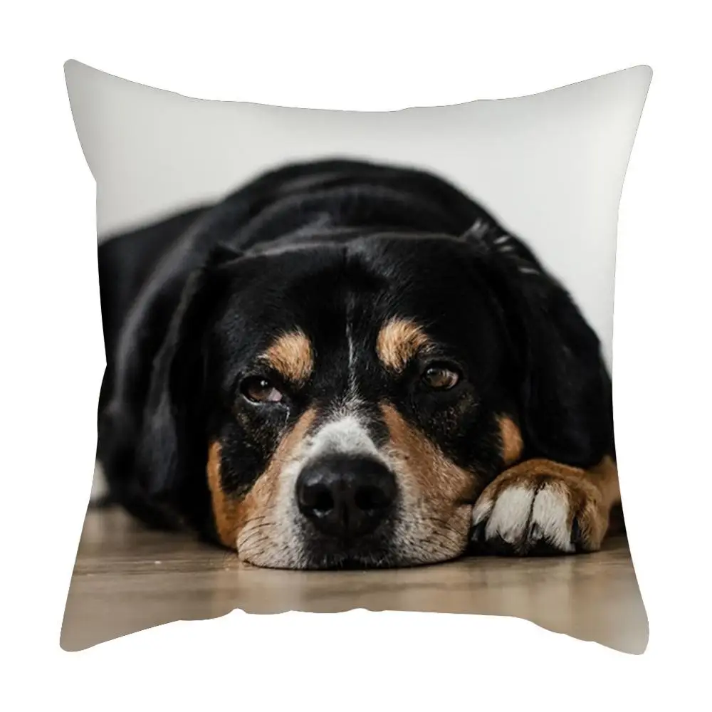 New High-Quality Cushion Cover Cute Dog Pattern Square Pillowcase Peach Suede Car Bedroom Home Decoration
New High-Quality Cushion Cover Cute Dog Pattern Square Pillowcase Peach Suede Car Bedroom Home Decoration