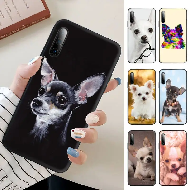 Cute Pet Chihuahua Dog Phone Case For Samsung A12 A32 A71 4G 5G A10 A20 A21 A40 A50 S A51 A52 A70 A72 Silicone Cover
Cute Pet Chihuahua Dog Phone Case For Samsung A12 A32 A71 4G 5G A10 A20 A21 A40 A50 S A51 A52 A70 A72 Silicone Cover