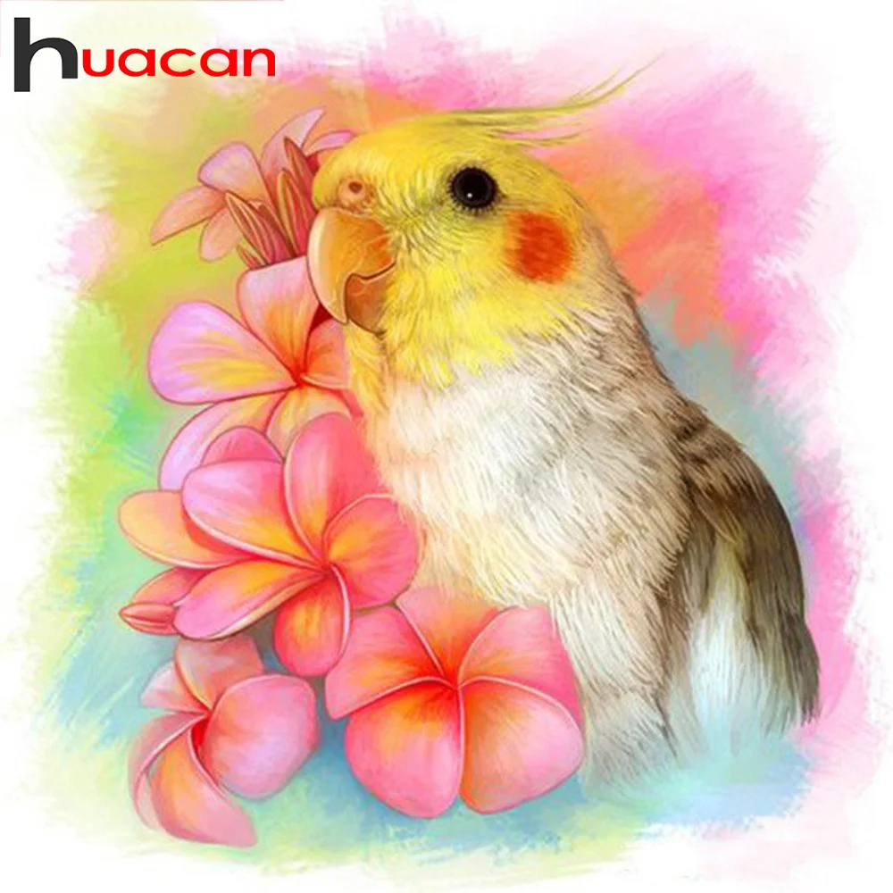 Huacan алмазная вышивка распродажа птица алмазная мазайка животные картина стразами декор для дома рукоделие
Huacan алмазная вышивка распродажа птица алмазная мазайка животные картина стразами декор для дома рукоделие