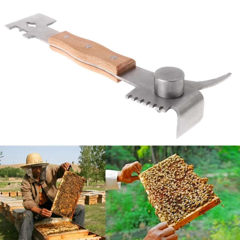 Stainless Steel Bee Tools Multifunctional Scraper Beekeeping Knife Wooden Handle
Stainless Steel Bee Tools Multifunctional Scraper Beekeeping Knife Wooden Handle