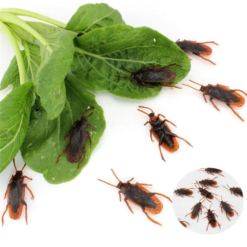 12Pcs Lifelike Cockroaches Toy Halloween Gadget Gags Practical Jokes Toys Plastic Bugs F3ME
12Pcs Lifelike Cockroaches Toy Halloween Gadget Gags Practical Jokes Toys Plastic Bugs F3ME