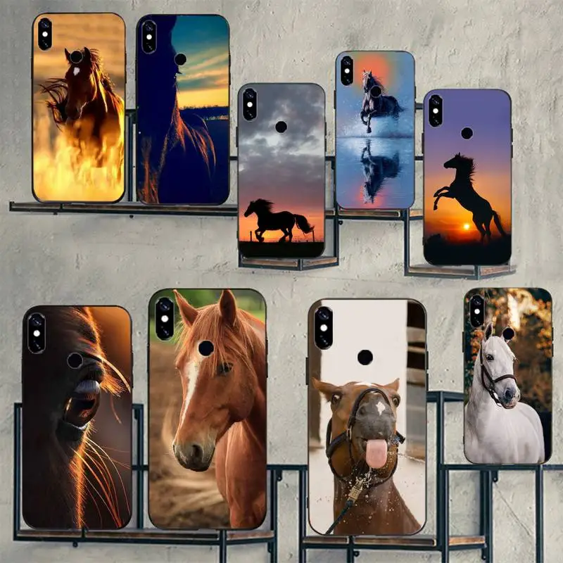 Frederik The Great beauty horse Phone Case For Xiaomi Redmi 7 8 9t 9se k20 mi8 max3 lite 9 note 9s 10 pro
Frederik The Great beauty horse Phone Case For Xiaomi Redmi 7 8 9t 9se k20 mi8 max3 lite 9 note 9s 10 pro