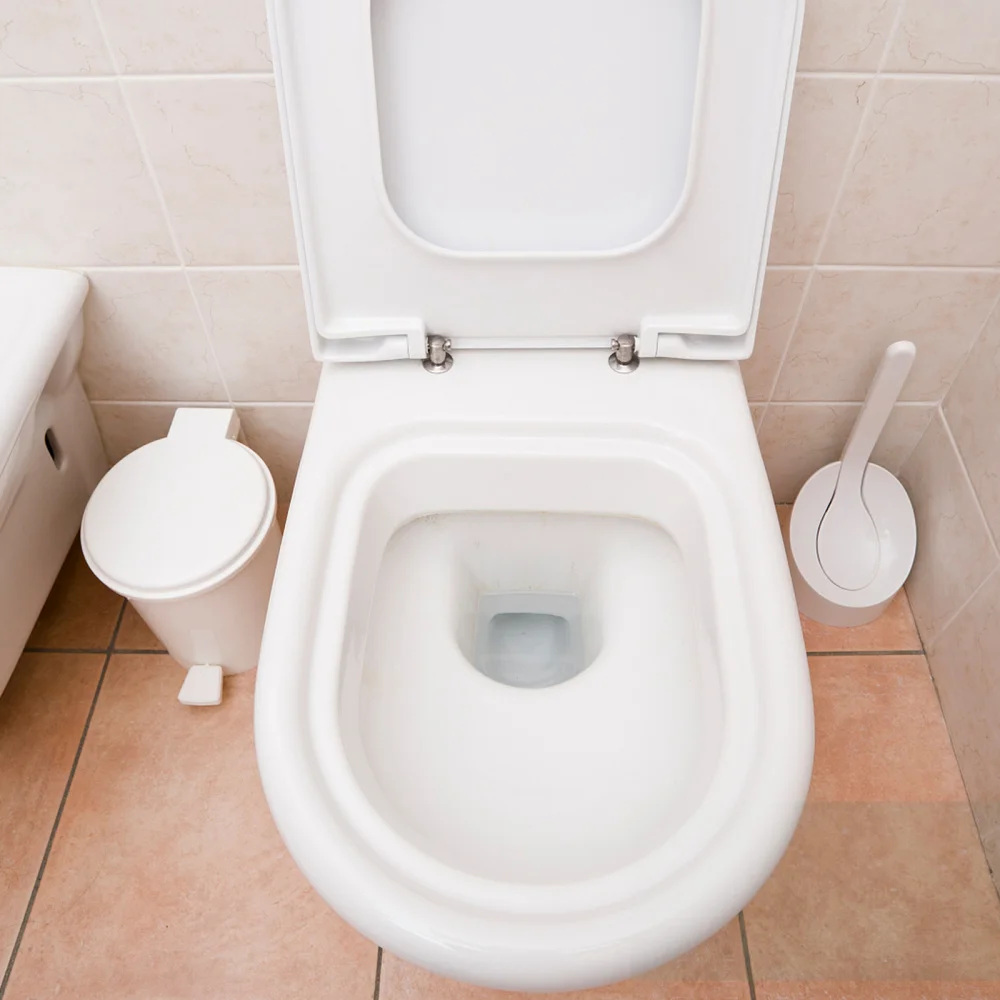 2 Pcs Toilet Seat Hinges Toilet Hinges Fittings Toilet Seat Accessories
2 Pcs Toilet Seat Hinges Toilet Hinges Fittings Toilet Seat Accessories