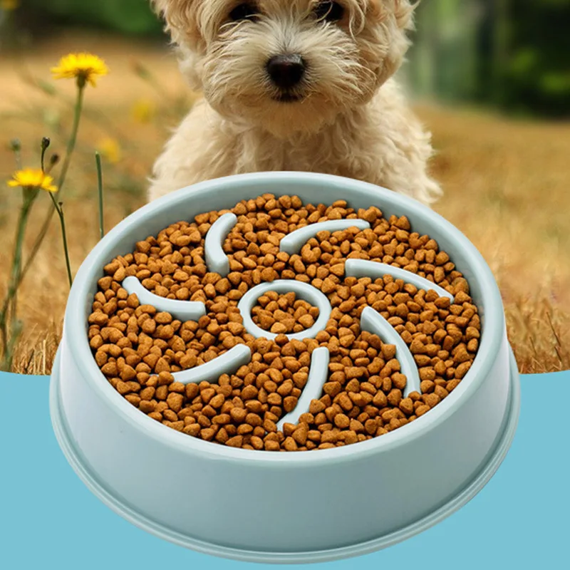 Pet Learning Food Bowl Anti-Choke Food Dog Basin Slow Food Bowl Slow Tableware Non-Slip Durable Dog Bowl Pet Products Factory
Pet Learning Food Bowl Anti-Choke Food Dog Basin Slow Food Bowl Slow Tableware Non-Slip Durable Dog Bowl Pet Products Factory