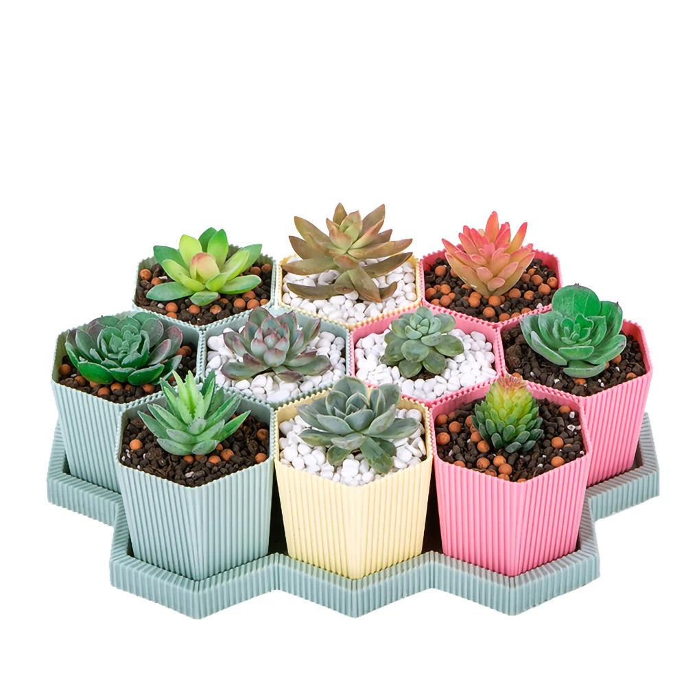 10 Pcs Creative Hexagonal Resin Mini Succulent Flower Pot Green Yellow Pink Simple Indoor Potted Plant
10 Pcs Creative Hexagonal Resin Mini Succulent Flower Pot Green Yellow Pink Simple Indoor Potted Plant