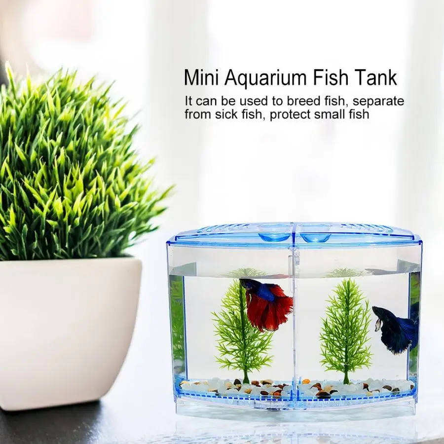 Мини аквариум Betta Box прозрачный Arcylic ящик для разведения рыбы двухслойный