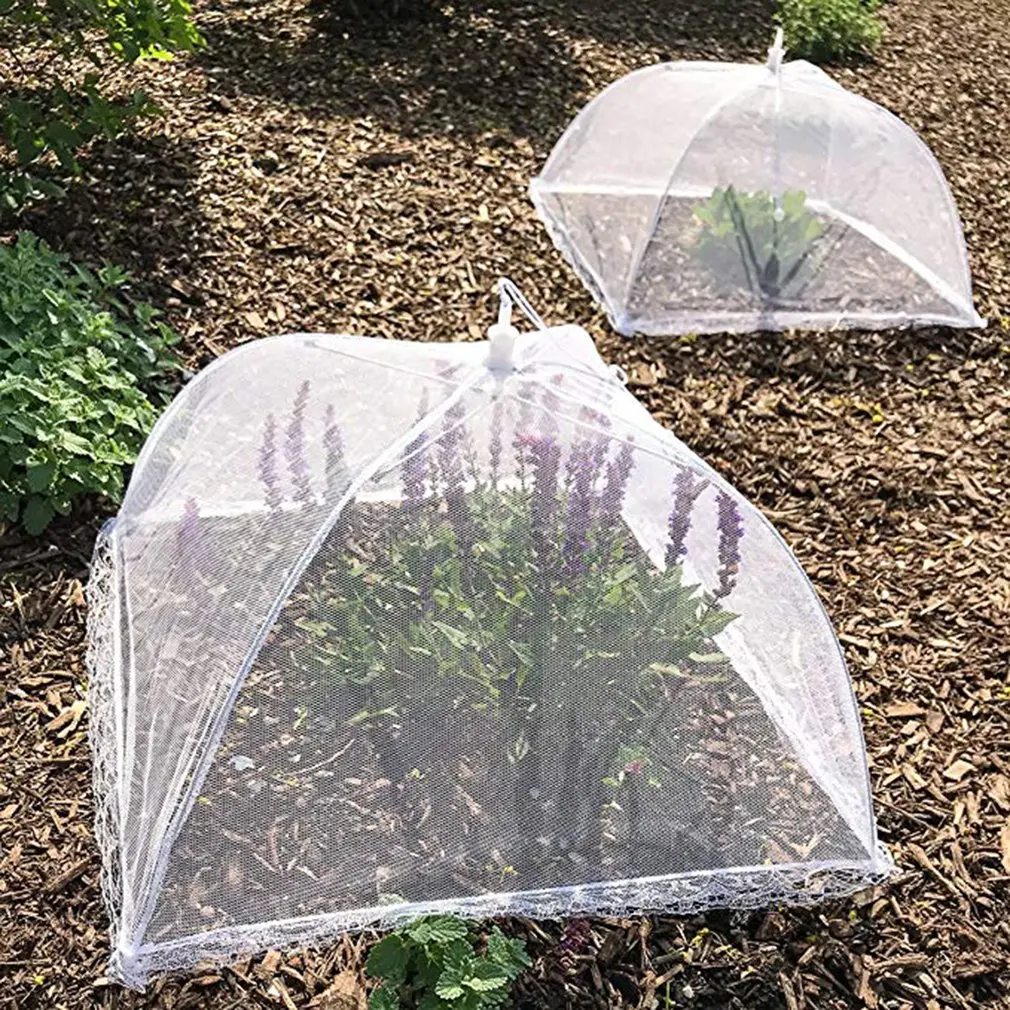 Foldable Household Food Umbrella Washable Mesh Food Lid Picnic Barbecue Party Anti Fly Mosquito Net Tent Kitchen Gadgets
Foldable Household Food Umbrella Washable Mesh Food Lid Picnic Barbecue Party Anti Fly Mosquito Net Tent Kitchen Gadgets