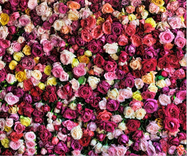 7x5FT Beautiful Floral Flowers Wall Party Valentine Day Romantic Custom Photo Backdrop Background Vinyl 220cm X 150cm|Фон для