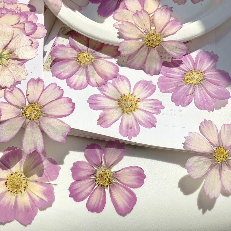 60 pieces of small dry flower candle dried plant epoxy resin pendant jewelry DIY hand bookmark and sticker material
60 pieces of small dry flower candle dried plant epoxy resin pendant jewelry DIY hand bookmark and sticker material