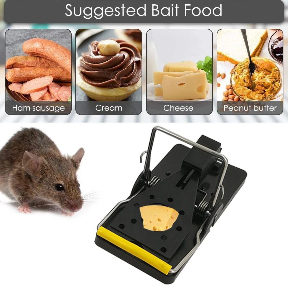 6PCS Rat Traps High Qulity Reusable Rat Catching Mice Mouse Traps Mousetrap Bait Snap Spring Rodent Catcher Pest Control
6PCS Rat Traps High Qulity Reusable Rat Catching Mice Mouse Traps Mousetrap Bait Snap Spring Rodent Catcher Pest Control