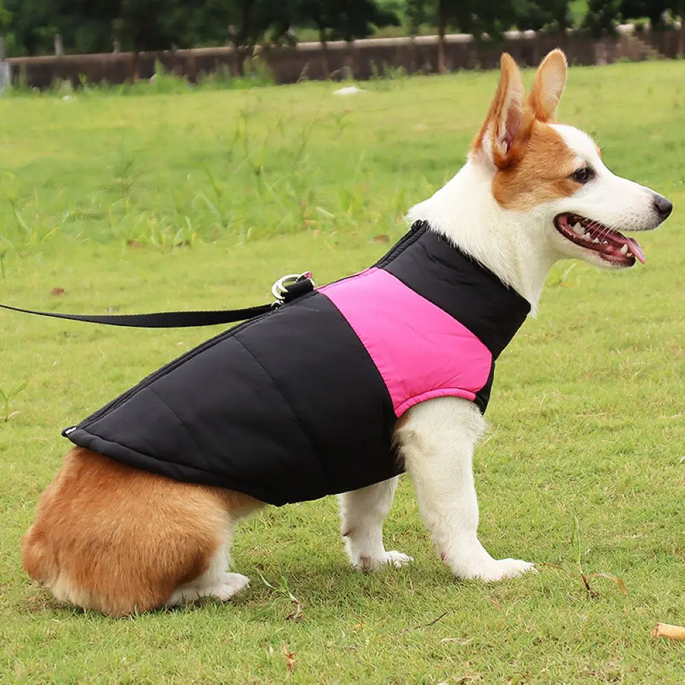 Winter Dog Jacket Warm Dog Jumpsuit Waterproof Jacket Down Storm Jacket Zipper Easy To Wear Dog Chest Strap with Handle
Winter Dog Jacket Warm Dog Jumpsuit Waterproof Jacket Down Storm Jacket Zipper Easy To Wear Dog Chest Strap with Handle