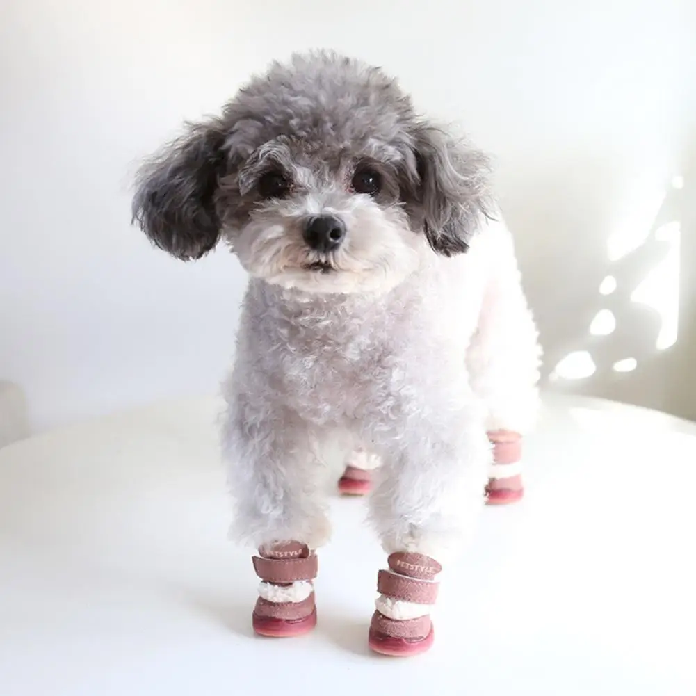 4Pcs Puppy Snow Boots Eye-catching Pet Booties Adorable Puppy Warm Snow Boots Pet Supplies
4Pcs Puppy Snow Boots Eye-catching Pet Booties Adorable Puppy Warm Snow Boots Pet Supplies