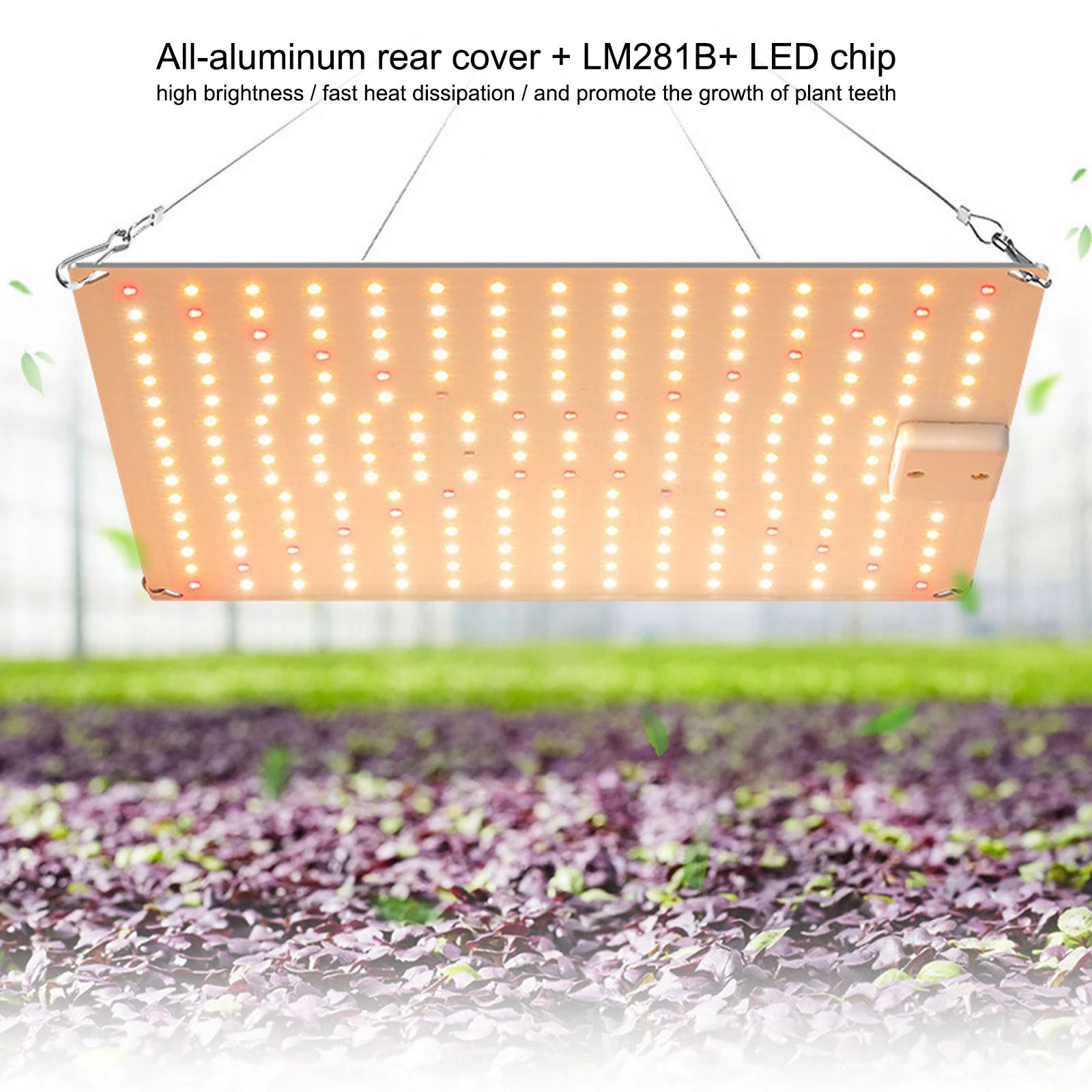Светодиодная лампа полного спектра для выращивания растений, 600 Вт
Светодиодная лампа полного спектра для выращивания растений, 600 Вт