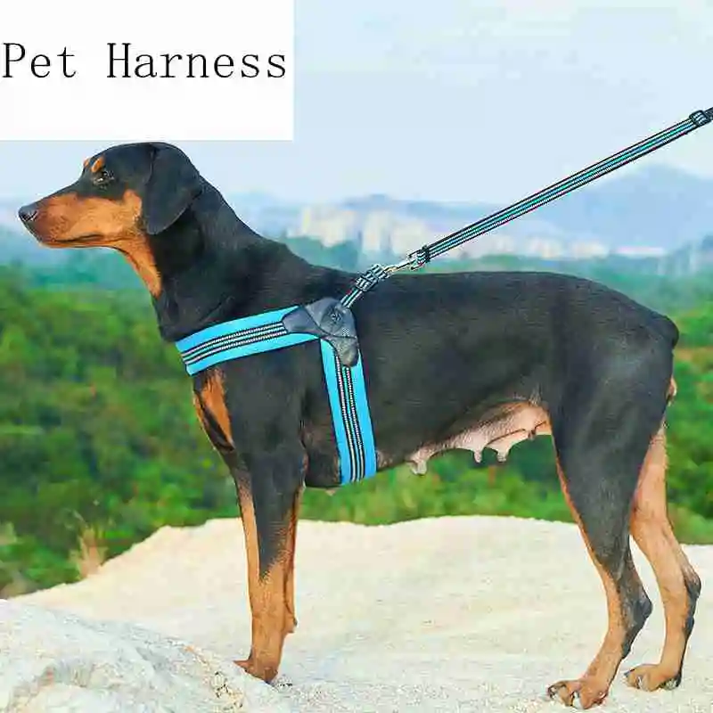 Reflective Dog Harness Soft Mesh Padded Large Dog Chest Strap Vest Breathable Explosion-proof Dog Lead For Small Medium Dogs
Reflective Dog Harness Soft Mesh Padded Large Dog Chest Strap Vest Breathable Explosion-proof Dog Lead For Small Medium Dogs