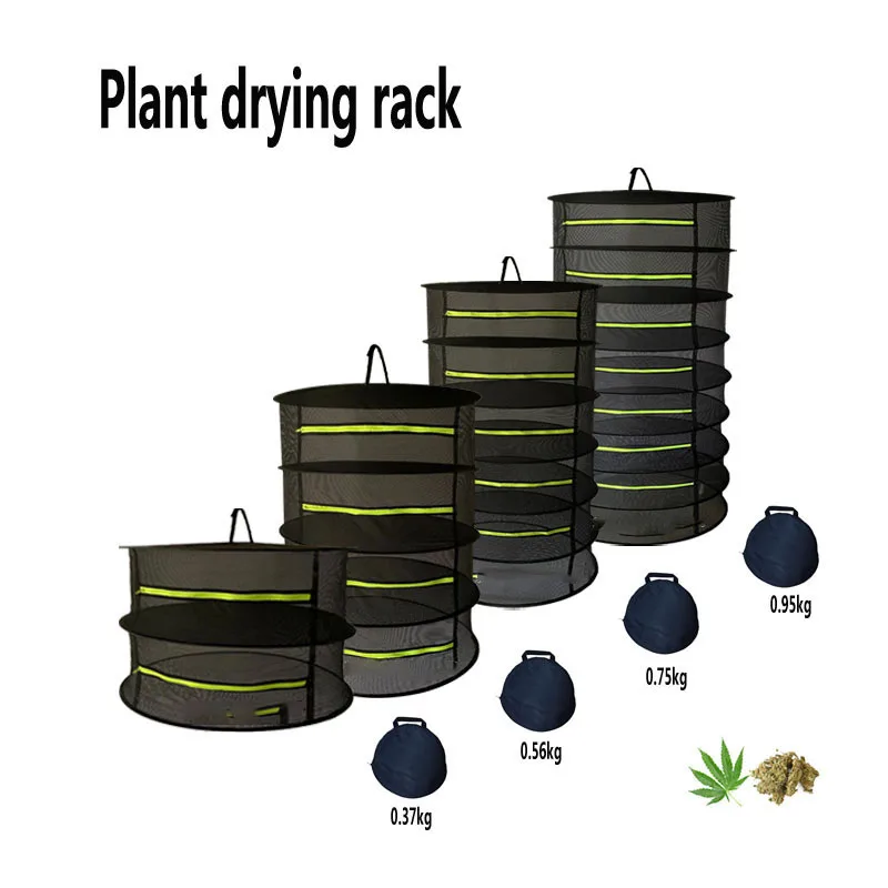 Layers Drying Net For Herbs Hanging Basket Folding Dry Rack Herbs Herb Drying Net Dryer Bag Mesh Flowers Buds Plants Organizer
Layers Drying Net For Herbs Hanging Basket Folding Dry Rack Herbs Herb Drying Net Dryer Bag Mesh Flowers Buds Plants Organizer