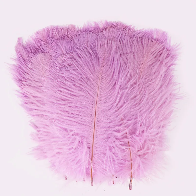 10Pcs/Lot Dyed White Ostrich Feathers Wedding Home Decoration Table Centerpiece Crafts Accessories Carnival Plumas Decor
10Pcs/Lot Dyed White Ostrich Feathers Wedding Home Decoration Table Centerpiece Crafts Accessories Carnival Plumas Decor