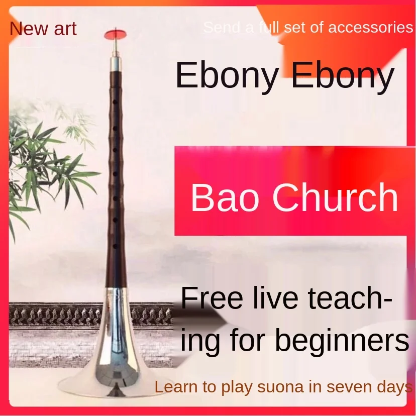 New Art Playing Professional Ebony Blackwood Suona Horn Musical Instrument Full Set D Tuning D Tuning Beginner Entry
New Art Playing Professional Ebony Blackwood Suona Horn Musical Instrument Full Set D Tuning D Tuning Beginner Entry