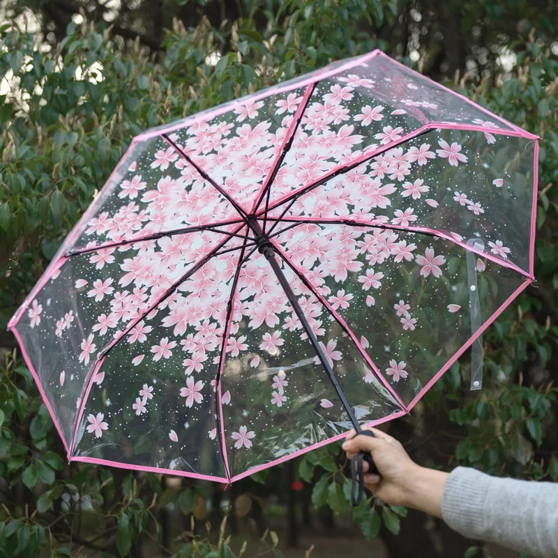 Transparent umbrella female small fresh full-automatic student folding three fold umbrella for two children thickened
Transparent umbrella female small fresh full-automatic student folding three fold umbrella for two children thickened