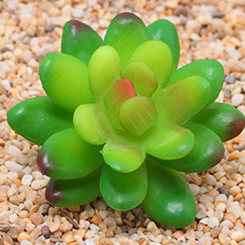 12pcs DIY Home Garden Office Wedding Decoration Mini Bonsai PlanteArtificial Green Purple Red Flocking Succulent Plants
12pcs DIY Home Garden Office Wedding Decoration Mini Bonsai PlanteArtificial Green Purple Red Flocking Succulent Plants