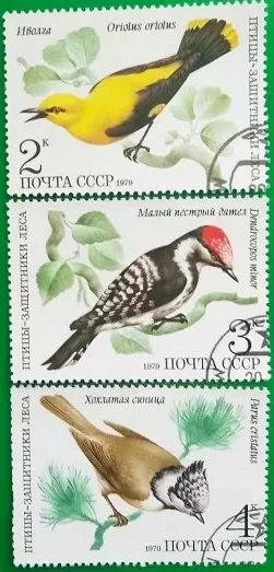 3 шт., штамп почты Советского Союза, 1979, штампы с птицами, коллекция штампов, используется с почтовым знаком
3 шт., штамп почты Советского Союза, 1979, штампы с птицами, коллекция штампов, используется с почтовым знаком