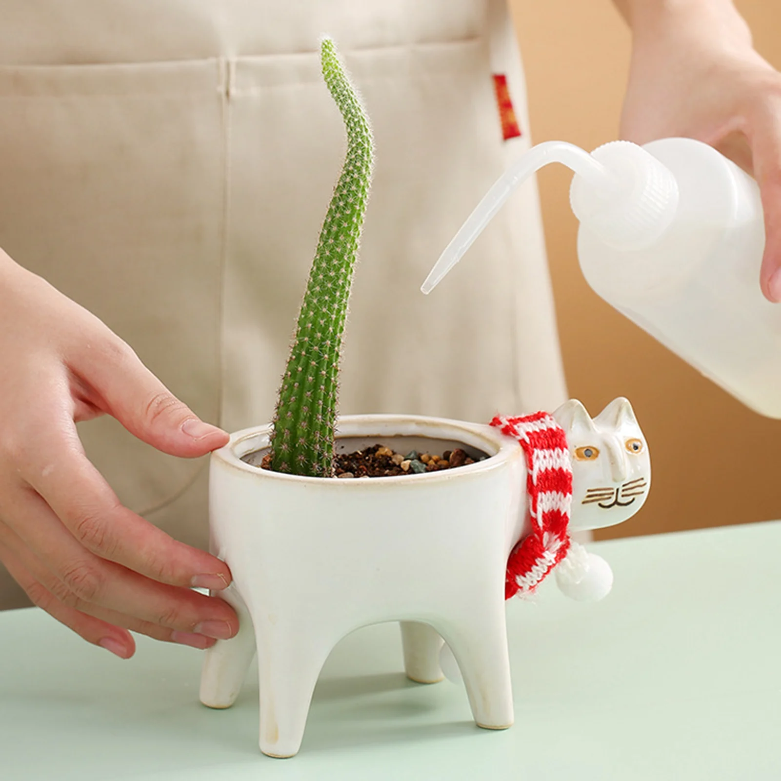 Cute Cat Tail Flower Pot Ceramic Personality Creative Cactus Succulent Simple Decoration Desktop Cartoon Animal Ornaments
Cute Cat Tail Flower Pot Ceramic Personality Creative Cactus Succulent Simple Decoration Desktop Cartoon Animal Ornaments