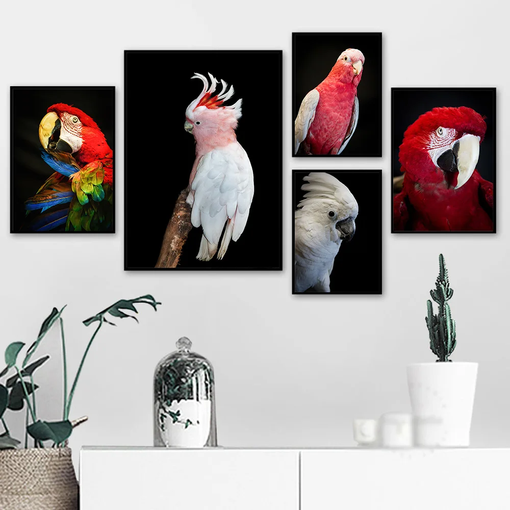Белая Картина на холсте какаду австралийское животное Красный Попугай постер с