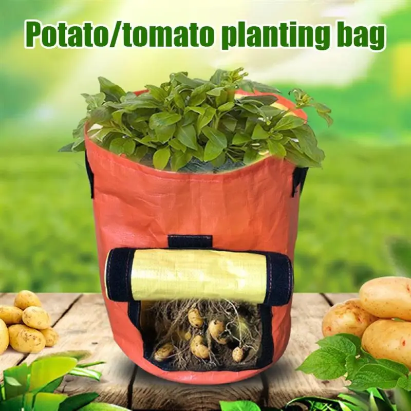 PE Grow Bag Vertical 1/3/5/7/10 Gallon Vegetable Plant Potato Growing Bag with Handles Access Flap Garden Growing Container
PE Grow Bag Vertical 1/3/5/7/10 Gallon Vegetable Plant Potato Growing Bag with Handles Access Flap Garden Growing Container
