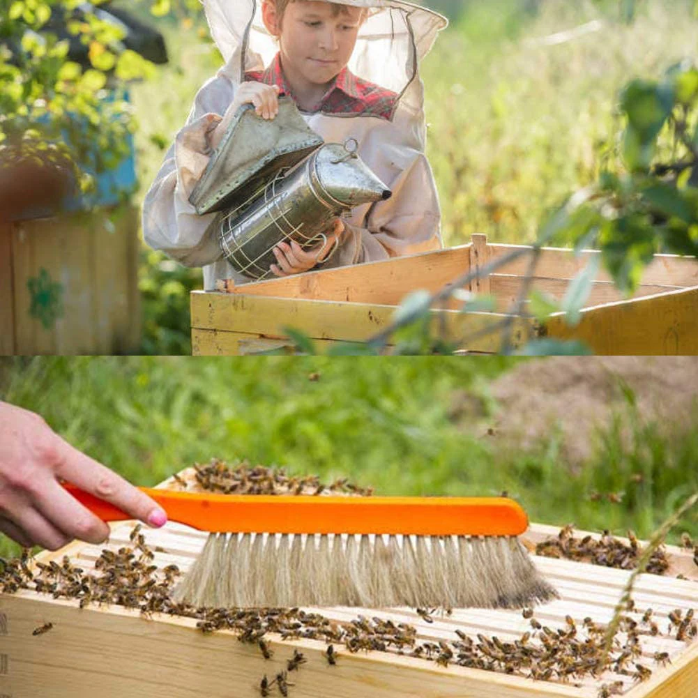 14PCS Beekeeping Accessory Starter Tools Kit Supplies Bee Hive Smoker Brsuh Frame Grip For Beekeeper Equipment Honey Bee Tools
14PCS Beekeeping Accessory Starter Tools Kit Supplies Bee Hive Smoker Brsuh Frame Grip For Beekeeper Equipment Honey Bee Tools