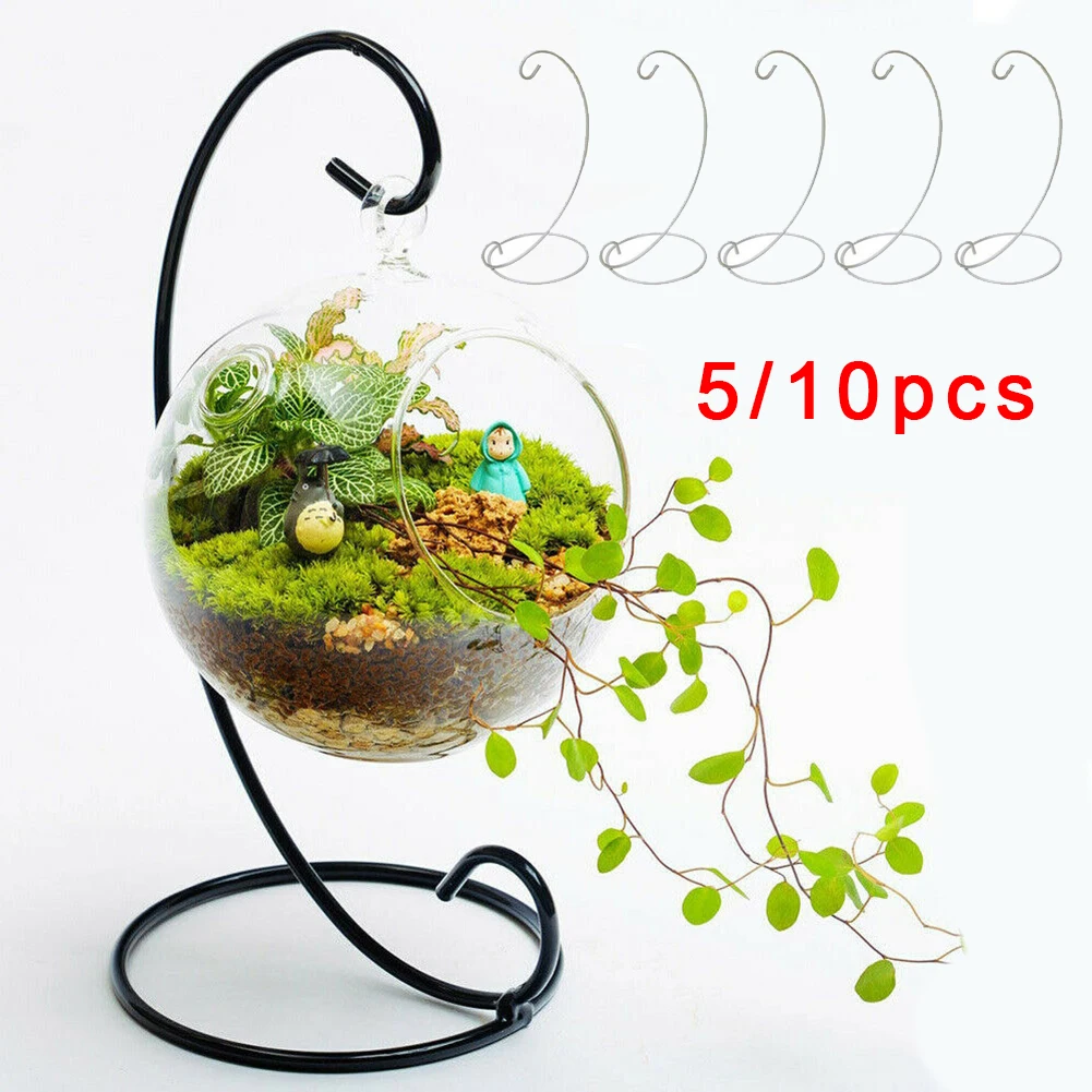 10/5 Pcs Glass Ball Hanging Holder Vase Micro Landscape Display Stand Flowerpot Hanging Stand Iron W/ Hook Garden Home Decor
10/5 Pcs Glass Ball Hanging Holder Vase Micro Landscape Display Stand Flowerpot Hanging Stand Iron W/ Hook Garden Home Decor