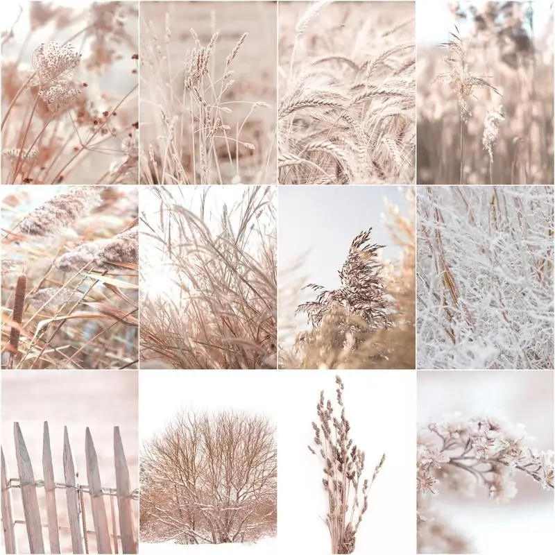CHENISTORY Paint By Number Winter Plant Diy Pictures By Numbers Kits Drawing On Canvas Handpainted Painting Art Gift Concise Hom
CHENISTORY Paint By Number Winter Plant Diy Pictures By Numbers Kits Drawing On Canvas Handpainted Painting Art Gift Concise Hom