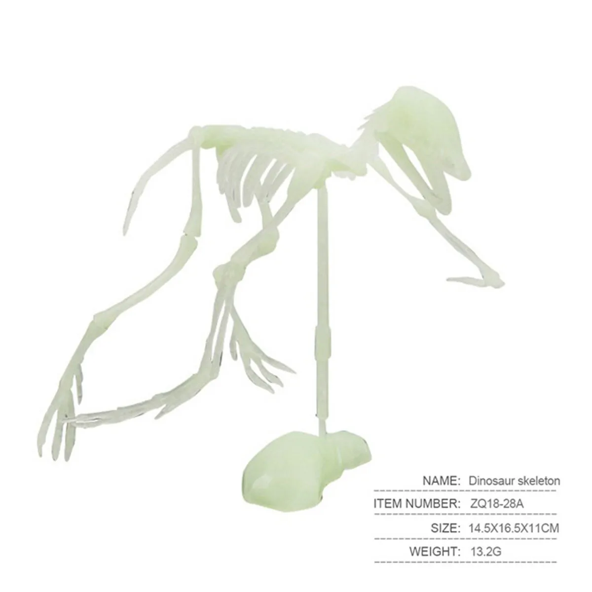 Simulated Dinosaurs Bones Toy Luminous Human Skeleton Model Halloween Toy Masquerade Party Great For Counting Perfect 
Simulated Dinosaurs Bones Toy Luminous Human Skeleton Model Halloween Toy Masquerade Party Great For Counting Perfect