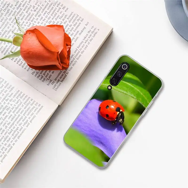 ladybug beatuiful animal world Phone Case For xiaomi Redmi 5 5A plus 7A 8 note 2 3 4 5 5A 6 7 GO K20 A2
ladybug beatuiful animal world Phone Case For xiaomi Redmi 5 5A plus 7A 8 note 2 3 4 5 5A 6 7 GO K20 A2
