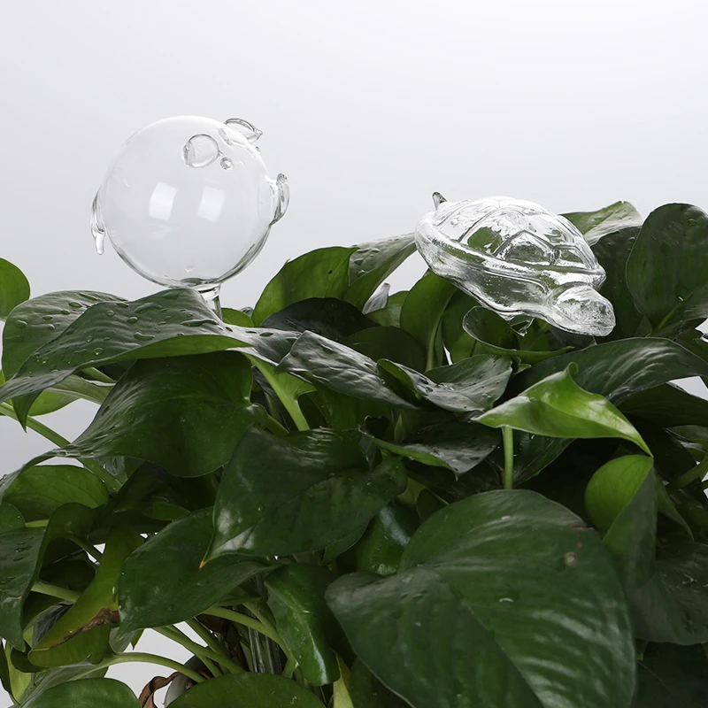Glass Plant Flowers Water Feeder Automatic Self Watering Devices Bird Star Heart Design Plant Waterer Watering Device 2 Types
Glass Plant Flowers Water Feeder Automatic Self Watering Devices Bird Star Heart Design Plant Waterer Watering Device 2 Types