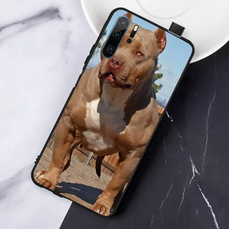 Ferocious animal pitbull dog Phone Case For Huawei honor Mate P 10 20 30 40 i 9 8 pro x Lite smart 2019 nova 5t
Ferocious animal pitbull dog Phone Case For Huawei honor Mate P 10 20 30 40 i 9 8 pro x Lite smart 2019 nova 5t