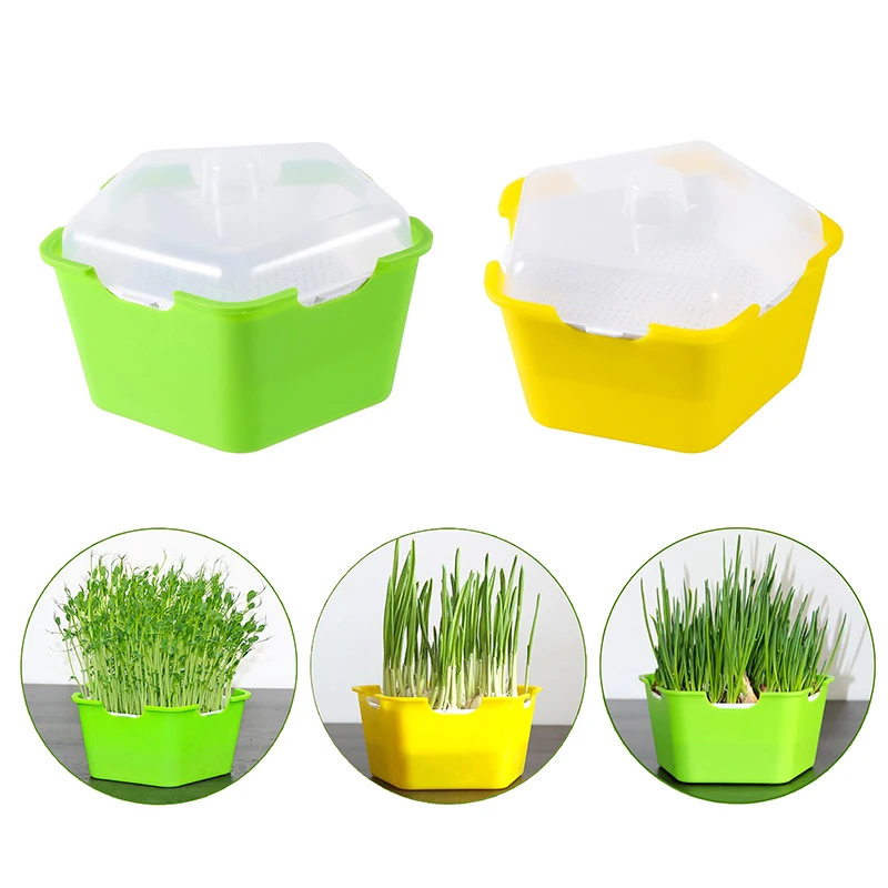Pentagonal Plastic Sprout Planting Pot Box Bean Pea Sprouter Seedling Tray Wheat Grass Cat Grass Nursery Growing Germination Kit
Pentagonal Plastic Sprout Planting Pot Box Bean Pea Sprouter Seedling Tray Wheat Grass Cat Grass Nursery Growing Germination Kit