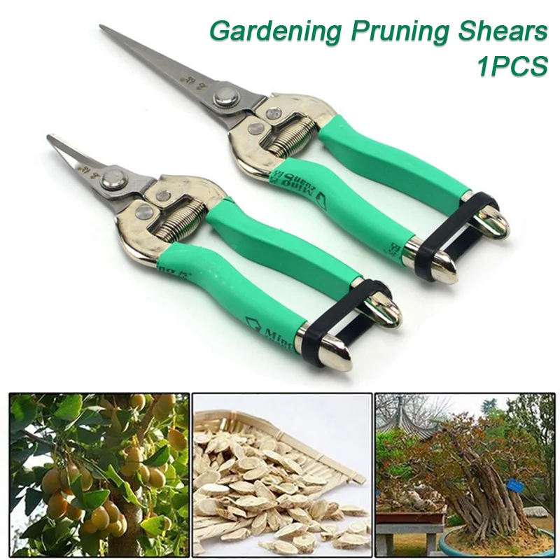 Professional 2sizes Fashion Plant Garden Gardening Tool Pruning Shears Bent Portable Fruit Picking Scissors
Professional 2sizes Fashion Plant Garden Gardening Tool Pruning Shears Bent Portable Fruit Picking Scissors