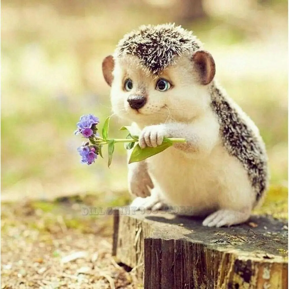 5D DIY diamond painting Animal Hedgehog hold Flowers Full Drill Embroidery Cross Stitch Mosaic Craft Home Decor Christmas Gift
5D DIY diamond painting Animal Hedgehog hold Flowers Full Drill Embroidery Cross Stitch Mosaic Craft Home Decor Christmas Gift
