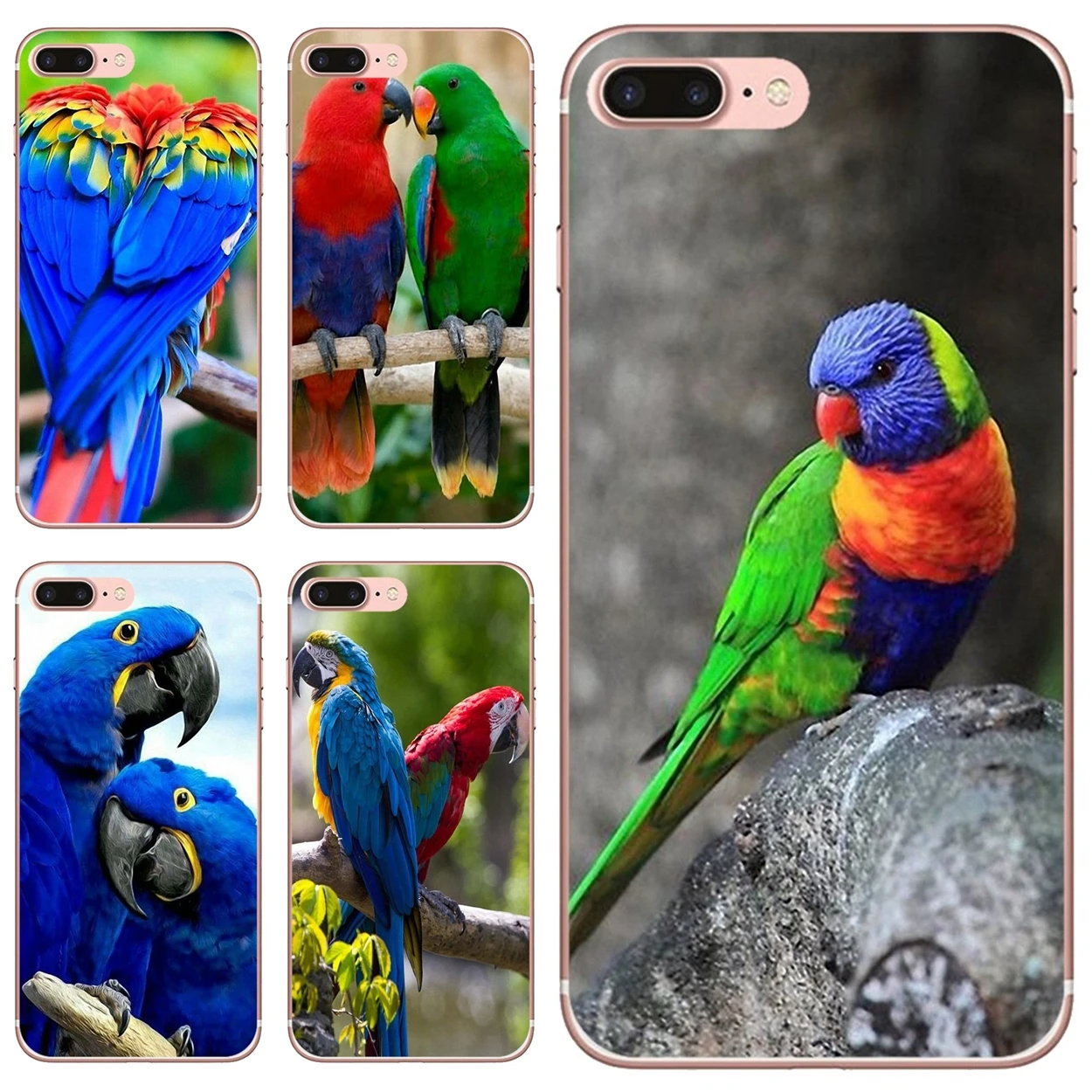 Soft TPU Cover Rainbow Parrot For iPhone 10 11 12 13 Mini Pro 4S 5S SE 5C 6 6S 7 8 X XR XS Plus Max 2020
Soft TPU Cover Rainbow Parrot For iPhone 10 11 12 13 Mini Pro 4S 5S SE 5C 6 6S 7 8 X XR XS Plus Max 2020