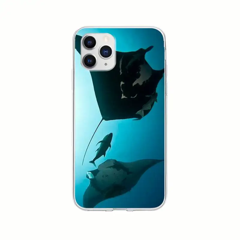 Cheap Animal Manta Ray Transparent Cell Phone Cover For Samsung Galaxy A21S A71 S8 S9 S10 Plus Lite S20 Note 20 Ultra Clear Case
Cheap Animal Manta Ray Transparent Cell Phone Cover For Samsung Galaxy A21S A71 S8 S9 S10 Plus Lite S20 Note 20 Ultra Clear Case