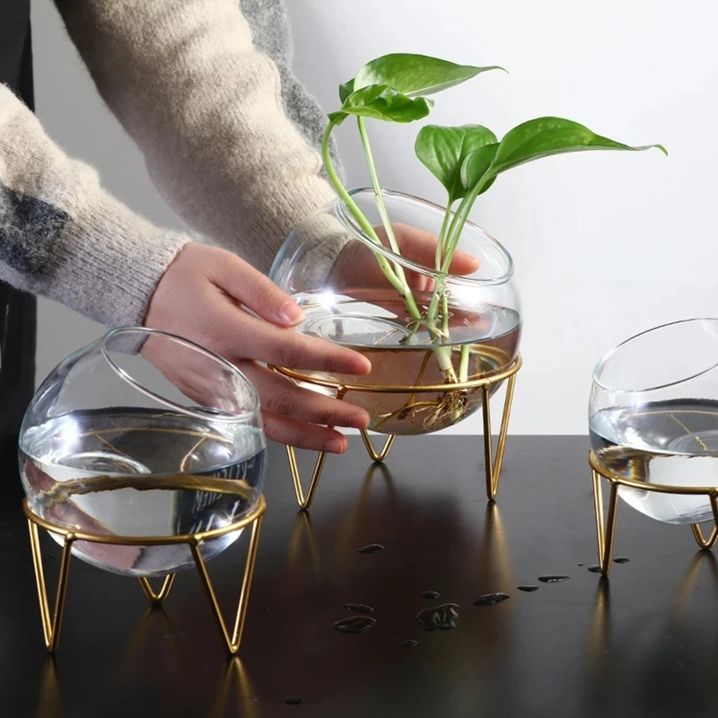 Round glass vase fish tank transparent hydroponic candle holder living room decoration vase
Round glass vase fish tank transparent hydroponic candle holder living room decoration vase