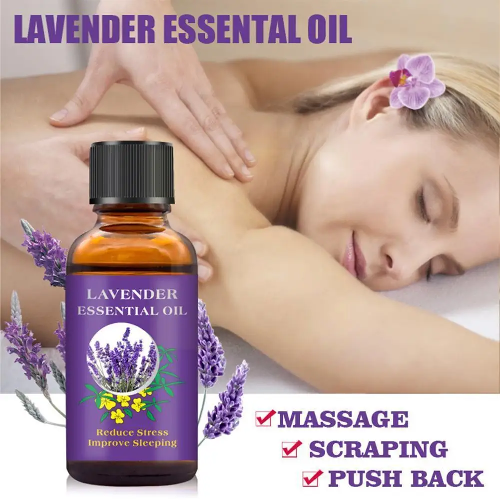 Product Lavender Pure Essential Oil Body Skin Care Plant Flowers Essential Natural 100% Spa Massage Oil Body 30ml Pure R8n0
Product Lavender Pure Essential Oil Body Skin Care Plant Flowers Essential Natural 100% Spa Massage Oil Body 30ml Pure R8n0