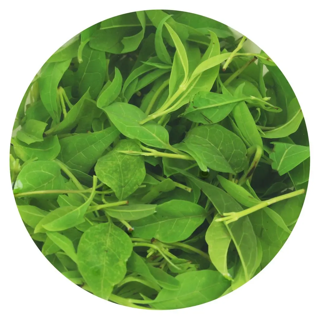 

Organic Small Leaf Kuding Tea " Qing Shan Lu Shui " Bitter Herbal Chinese Green