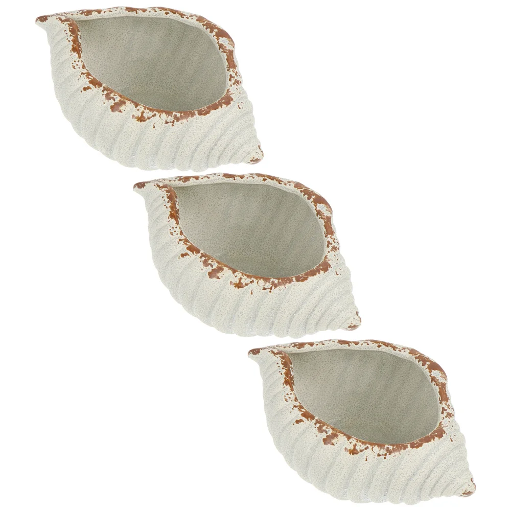3pcs Creative Conch-shaped Flower Succulent Planter Bonsai Container Decoration
3pcs Creative Conch-shaped Flower Succulent Planter Bonsai Container Decoration