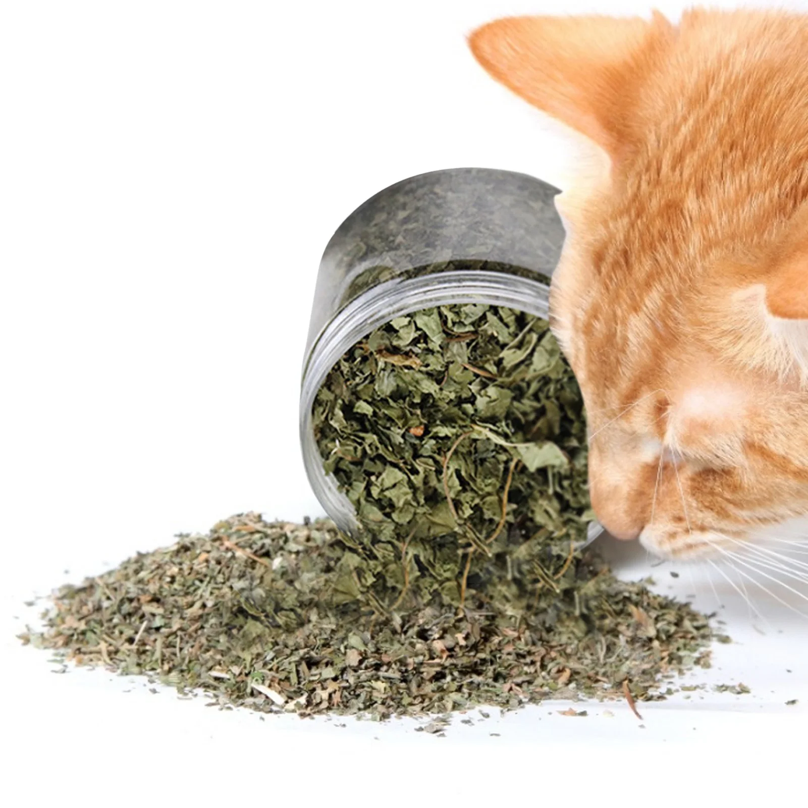 Catnip leaf toy canned cat toy organic catnip high quality natural Organic cat grass pet interactive Relax tool Catnip
Catnip leaf toy canned cat toy organic catnip high quality natural Organic cat grass pet interactive Relax tool Catnip